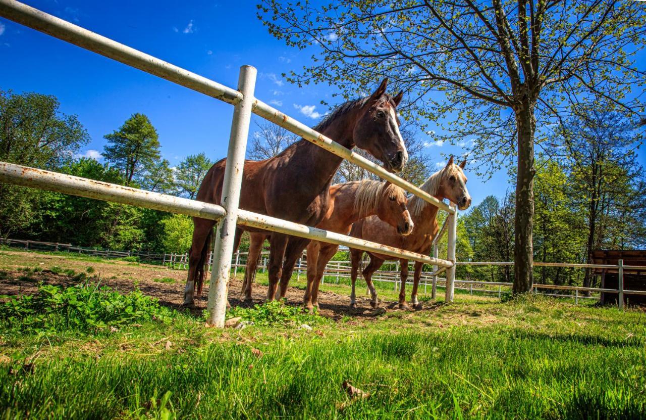Amigosranch Βίλα Κρούσεβατς Εξωτερικό φωτογραφία