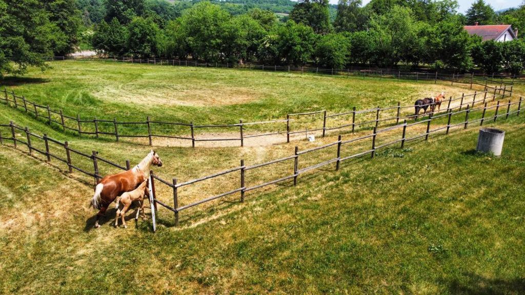 Amigosranch Βίλα Κρούσεβατς Εξωτερικό φωτογραφία