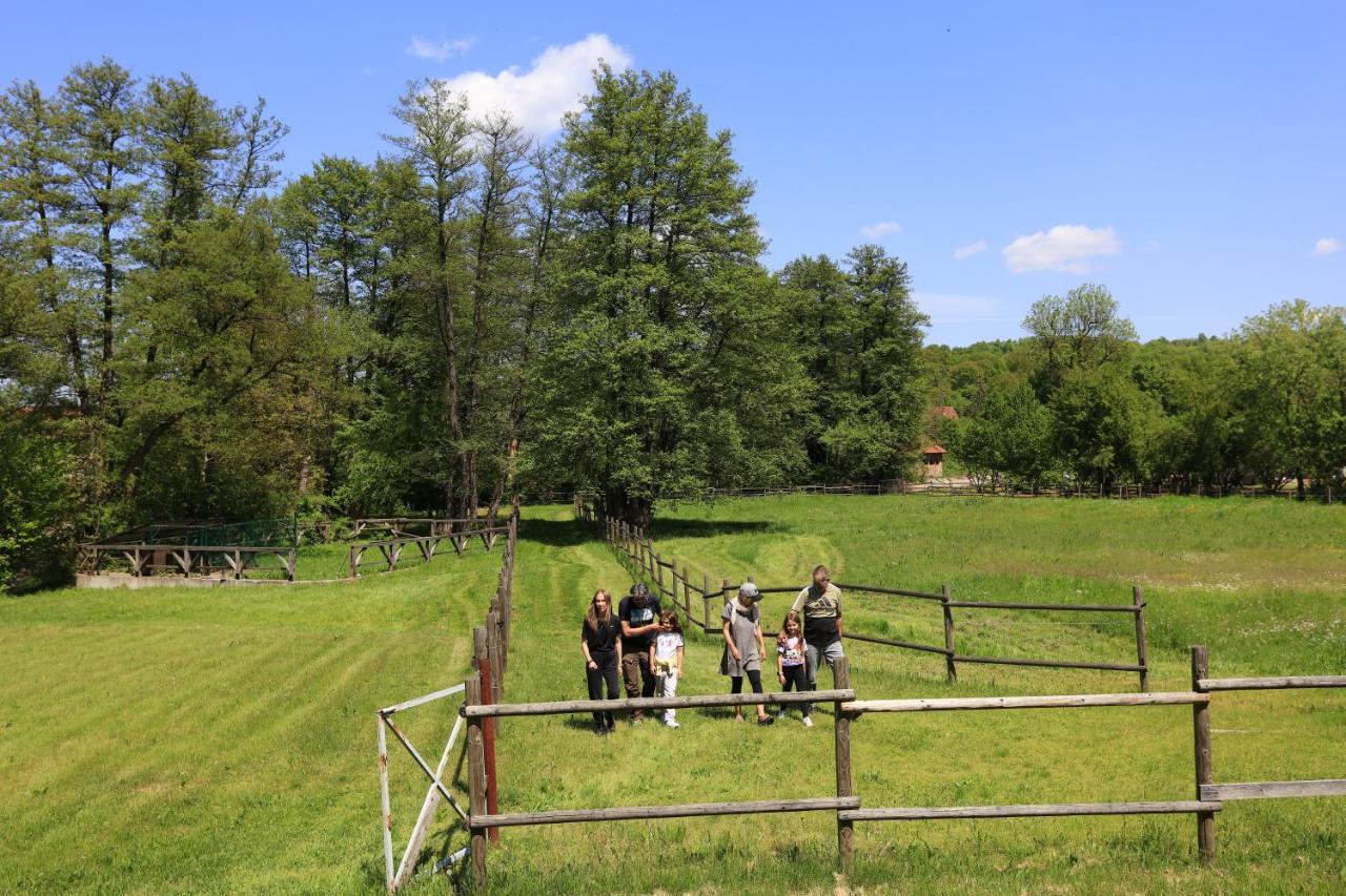 Amigosranch Βίλα Κρούσεβατς Εξωτερικό φωτογραφία
